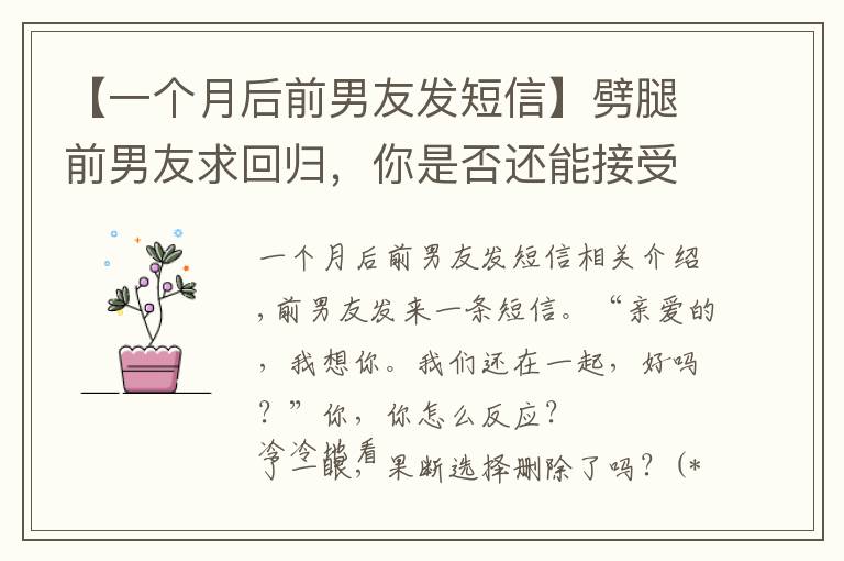 【一个月后前男友发短信】劈腿前男友求回归，你是否还能接受