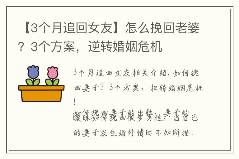 【3个月追回女友】怎么挽回老婆？3个方案，逆转婚姻危机