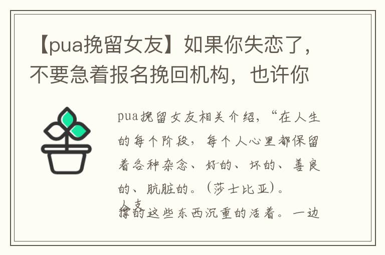 【pua挽留女友】如果你失恋了，不要急着报名挽回机构，也许你会进入更大的漩涡