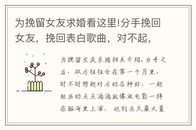 为挽留女友求婚看这里!分手挽回女友,挽回表白歌曲,对不起,我把你弄丢了