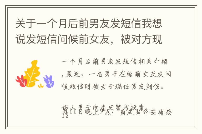 关于一个月后前男友发短信我想说发短信问候前女友，被对方现男友捅伤