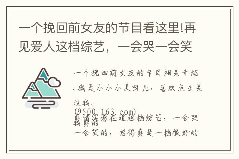 一个挽回前女友的节目看这里!再见爱人这档综艺,一会哭一会笑的,觉得真是一档很好的节目