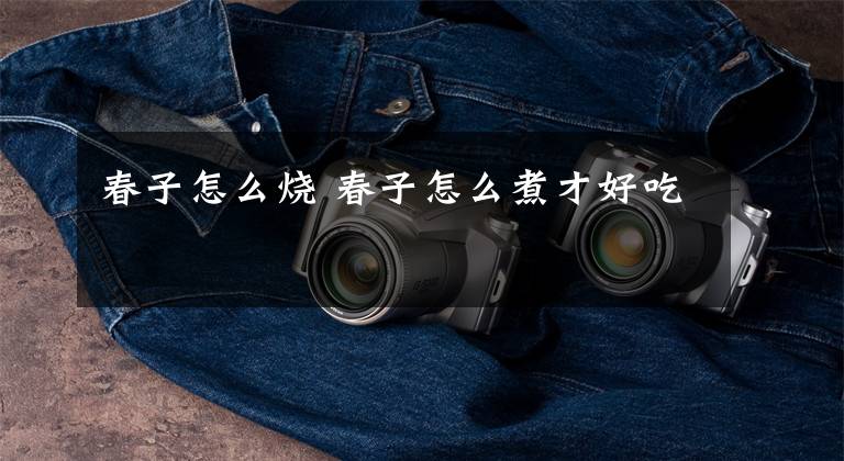 春子怎么烧 春子怎么煮才好吃
