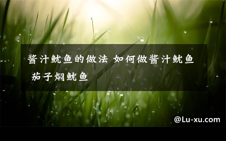 酱汁鱿鱼的做法 如何做酱汁鱿鱼 茄子焖鱿鱼