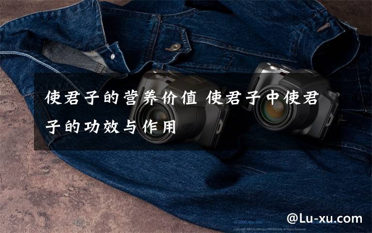 使君子的营养价值 使君子中使君子的功效与作用