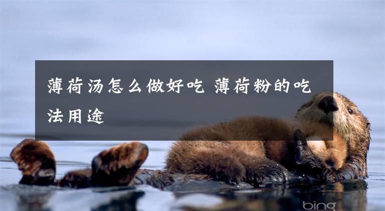 薄荷汤怎么做好吃 薄荷粉的吃法用途