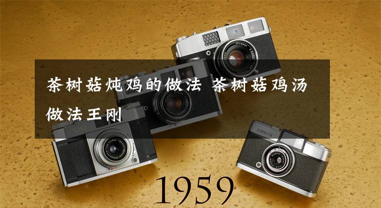 茶树菇炖鸡的做法 茶树菇鸡汤做法王刚