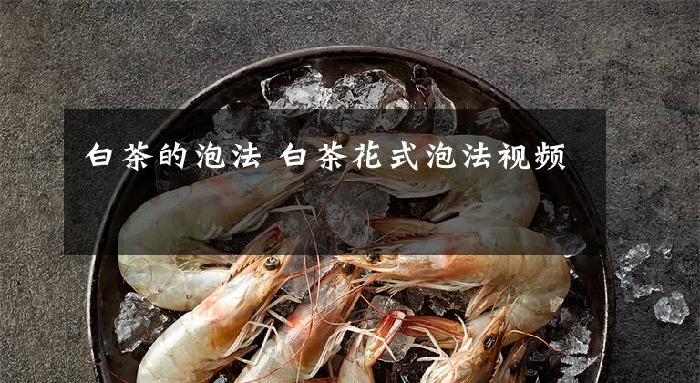 白茶的泡法 白茶花式泡法视频