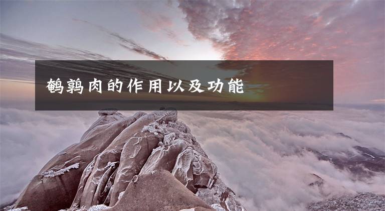鹌鹑肉的作用以及功能