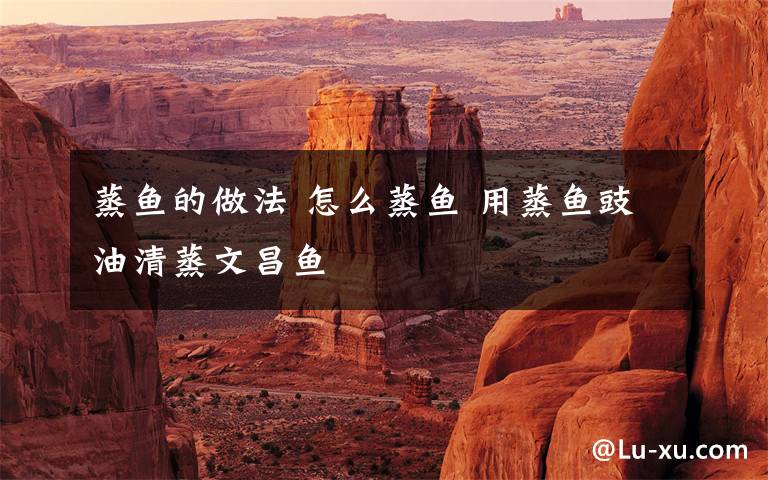 蒸鱼的做法 怎么蒸鱼 用蒸鱼豉油清蒸文昌鱼