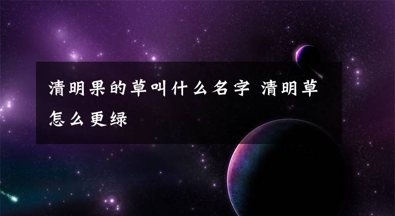 清明果的草叫什么名字 清明草怎么更绿