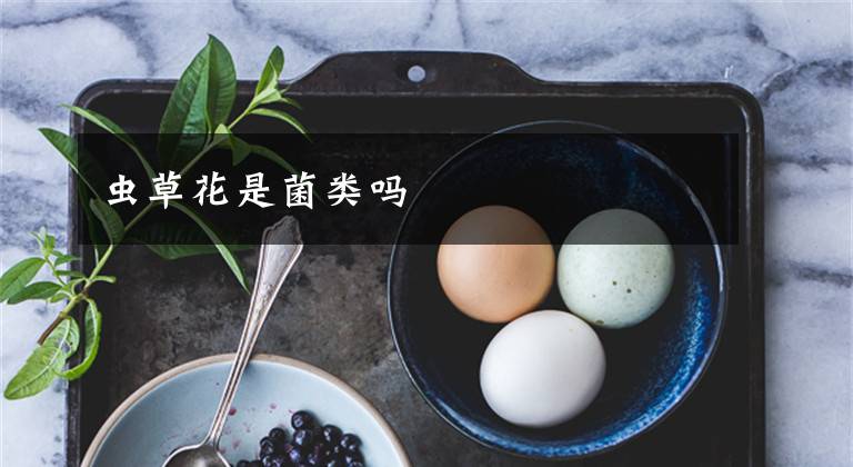 虫草花是菌类吗