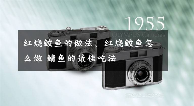 红烧鲅鱼的做法，红烧鲅鱼怎么做 鲭鱼的最佳吃法