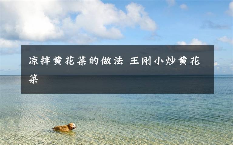 凉拌黄花菜的做法 王刚小炒黄花菜