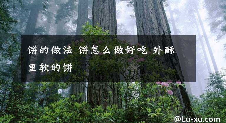 饼的做法 饼怎么做好吃 外酥里软的饼