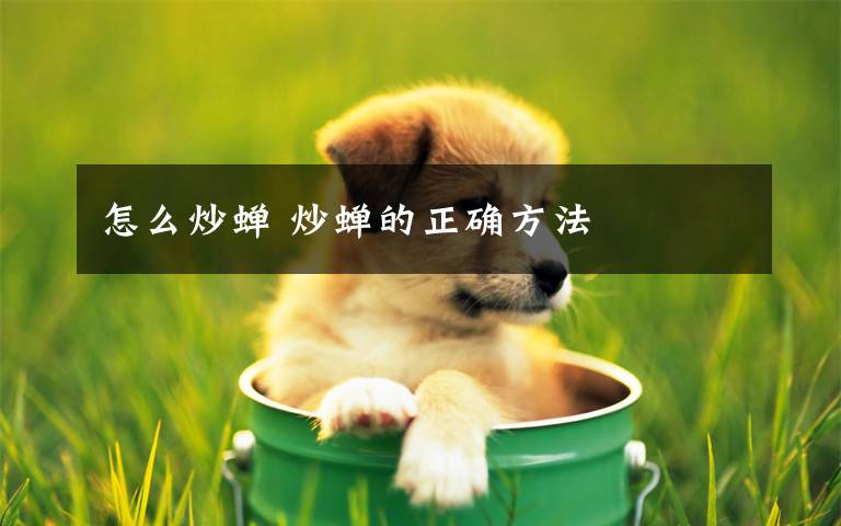 怎么炒蝉 炒蝉的正确方法