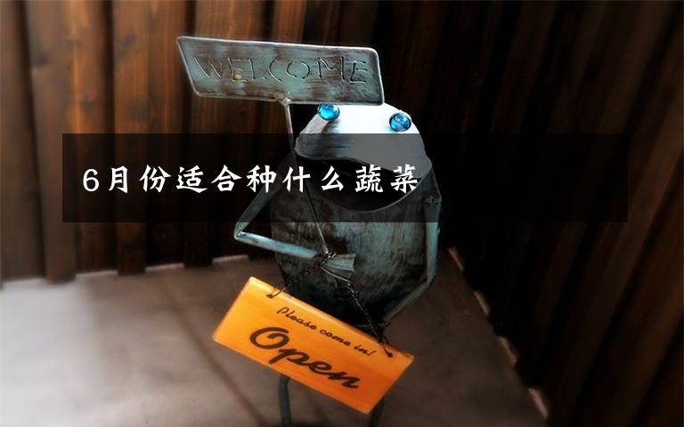 6月份适合种什么蔬菜