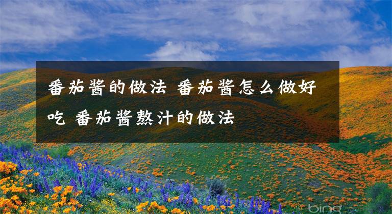 番茄酱的做法 番茄酱怎么做好吃 番茄酱熬汁的做法