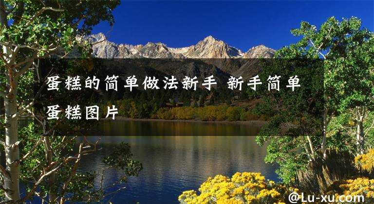 蛋糕的简单做法新手 新手简单蛋糕图片