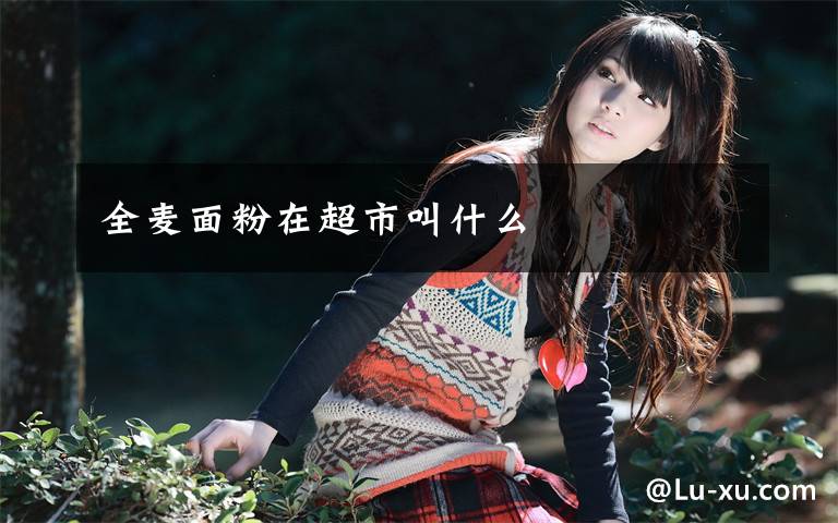 全麦面粉在超市叫什么