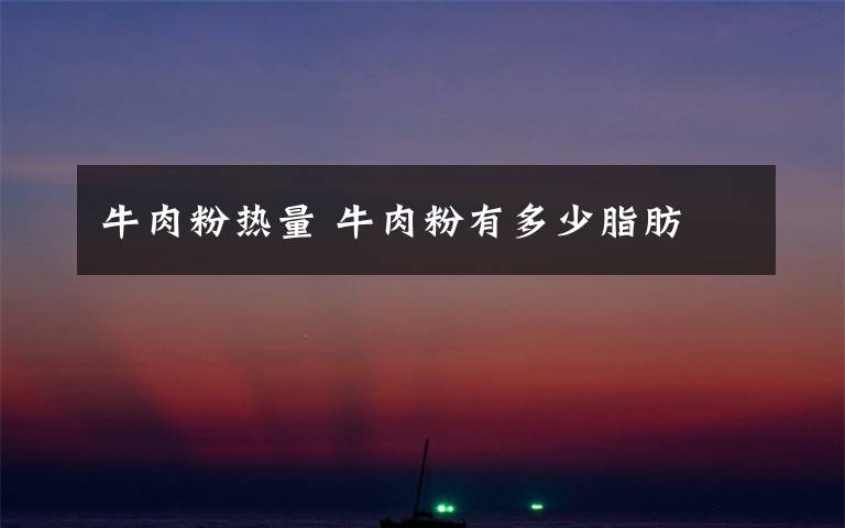 牛肉粉热量 牛肉粉有多少脂肪