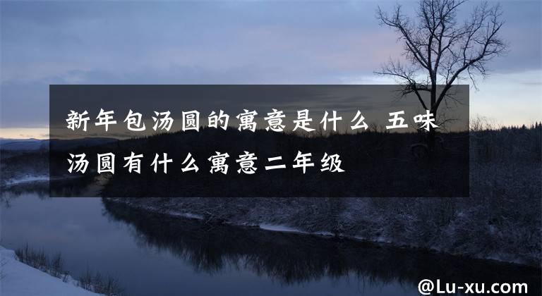 新年包汤圆的寓意是什么 五味汤圆有什么寓意二年级