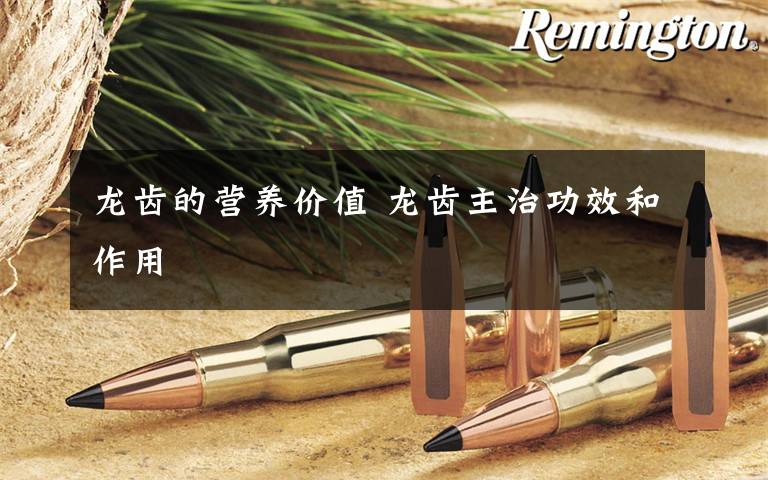 龙齿的营养价值 龙齿主治功效和作用