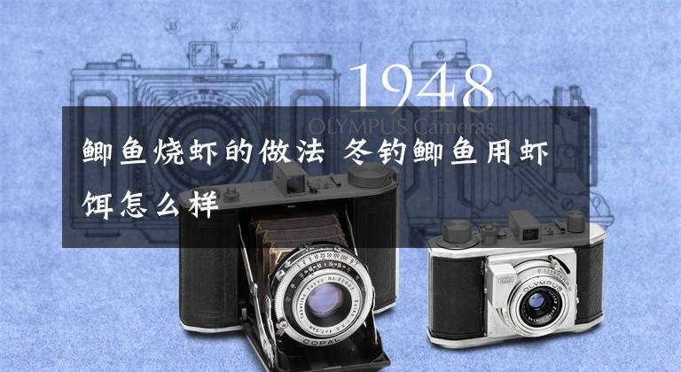 鲫鱼烧虾的做法 冬钓鲫鱼用虾饵怎么样