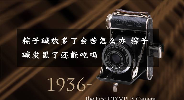 粽子碱放多了会苦怎么办 粽子碱发黑了还能吃吗