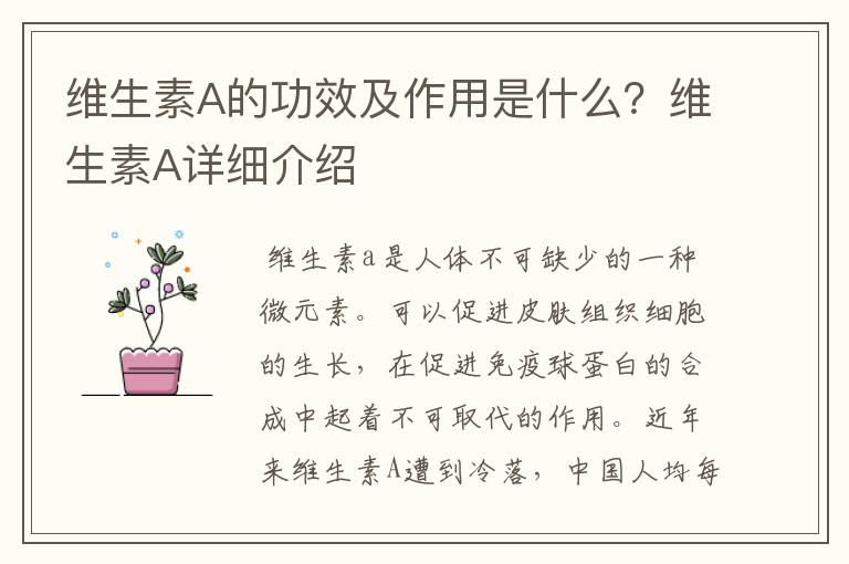 维生素A的功效及作用是什么？维生素A详细介绍