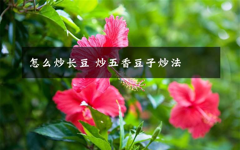 怎么炒长豆 炒五香豆子炒法