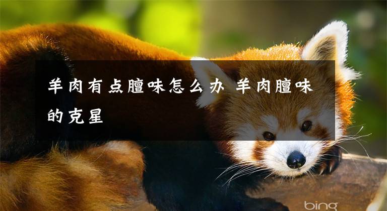 羊肉有点膻味怎么办 羊肉膻味的克星