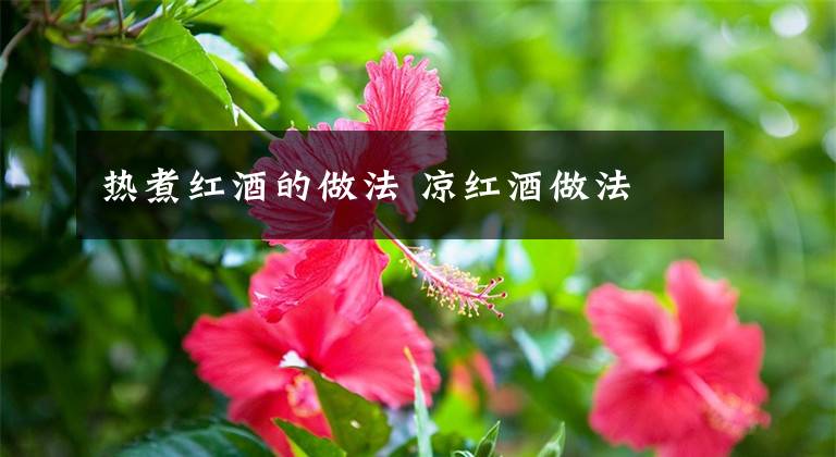 热煮红酒的做法 凉红酒做法