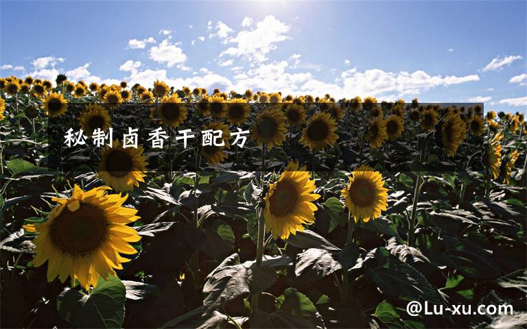 秘制卤香干配方