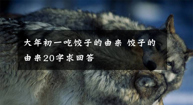 大年初一吃饺子的由来 饺子的由来20字求回答