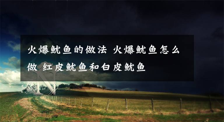 火爆鱿鱼的做法 火爆鱿鱼怎么做 红皮鱿鱼和白皮鱿鱼