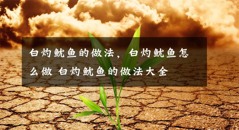 白灼鱿鱼的做法，白灼鱿鱼怎么做 白灼鱿鱼的做法大全