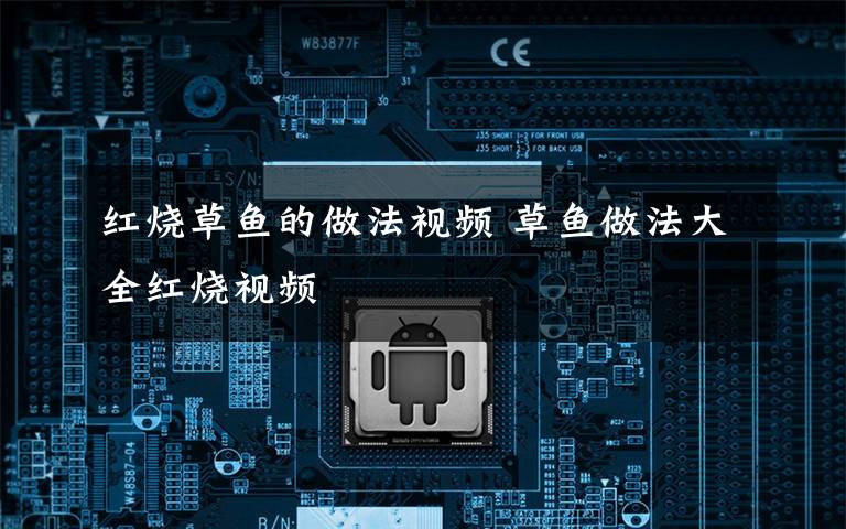 红烧草鱼的做法视频 草鱼做法大全红烧视频