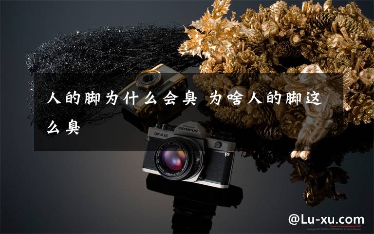 人的脚为什么会臭 为啥人的脚这么臭