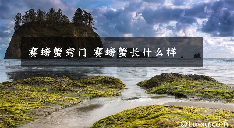 赛螃蟹窍门 赛螃蟹长什么样