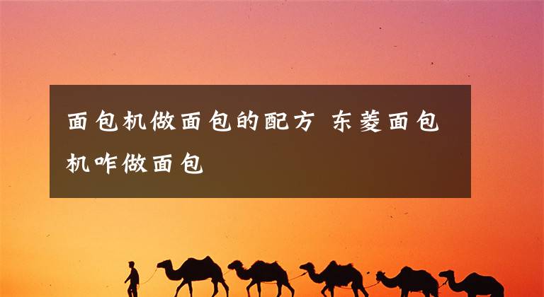 面包机做面包的配方 东菱面包机咋做面包