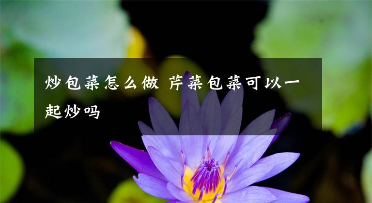 炒包菜怎么做 芹菜包菜可以一起炒吗