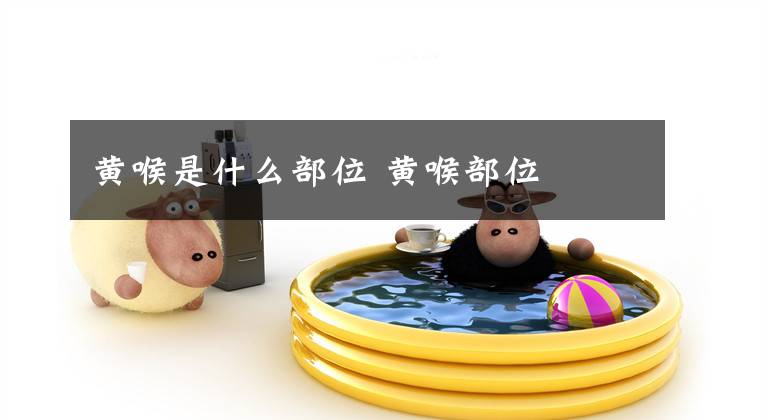 黄喉是什么部位 黄喉部位