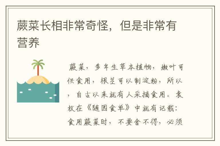 蕨菜长相非常奇怪,但是非常有营养