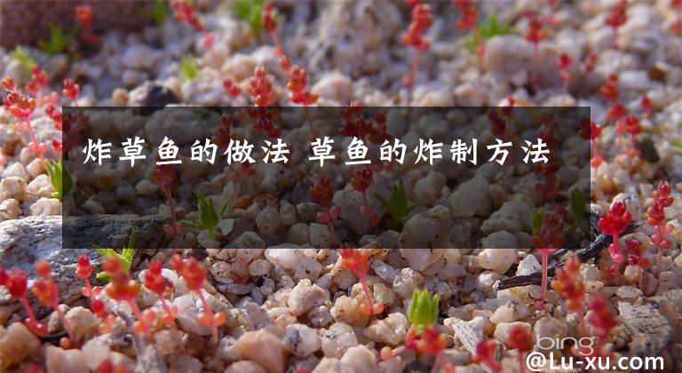 炸草鱼的做法 草鱼的炸制方法