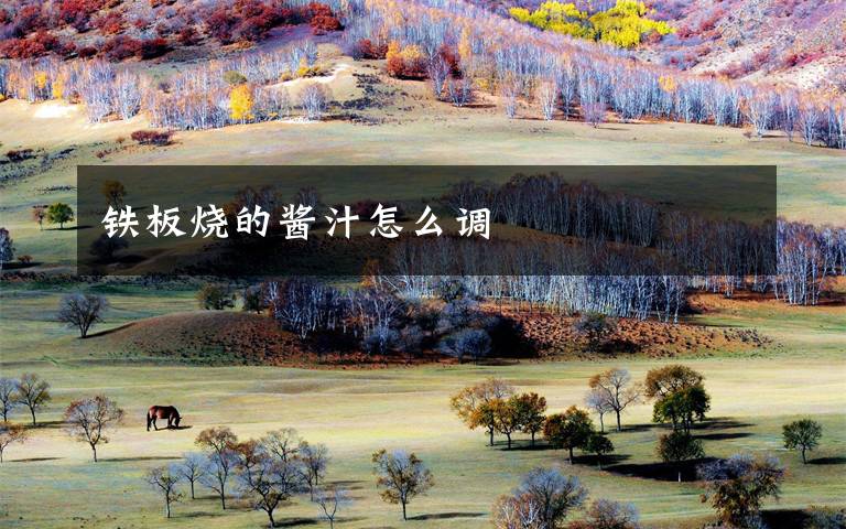 铁板烧的酱汁怎么调