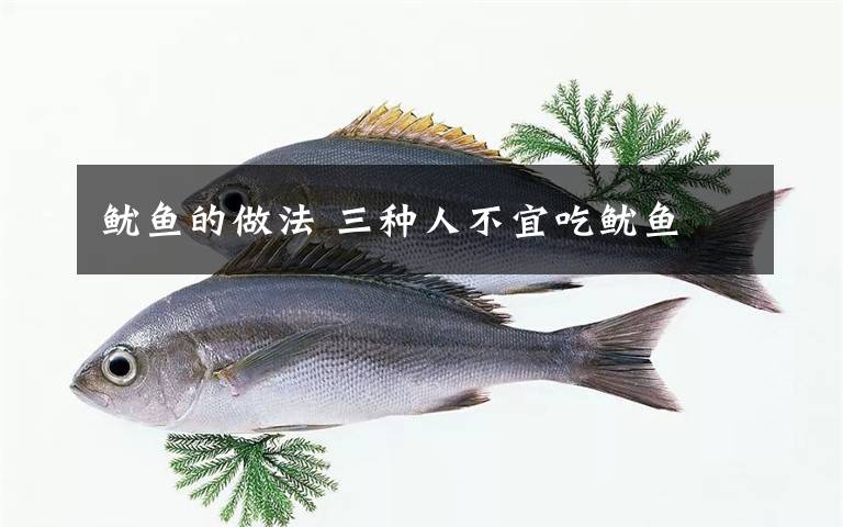 鱿鱼的做法 三种人不宜吃鱿鱼