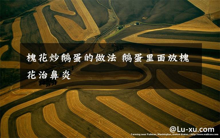 槐花炒鹅蛋的做法 鹅蛋里面放槐花治鼻炎