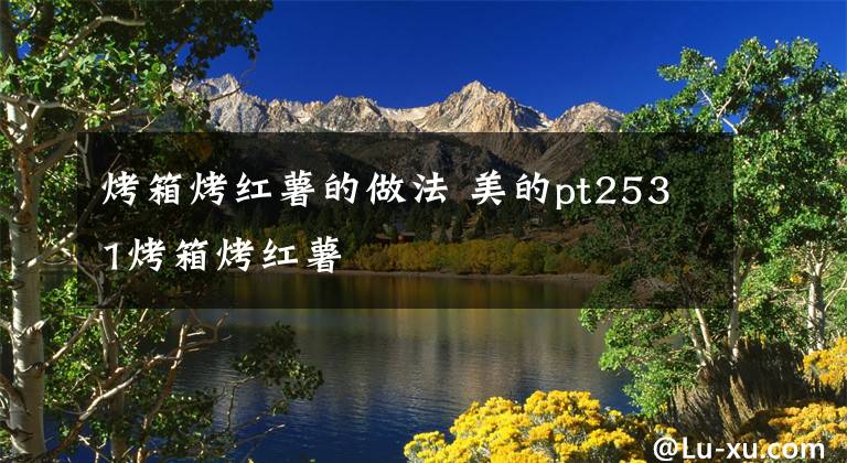 烤箱烤红薯的做法 美的pt2531烤箱烤红薯