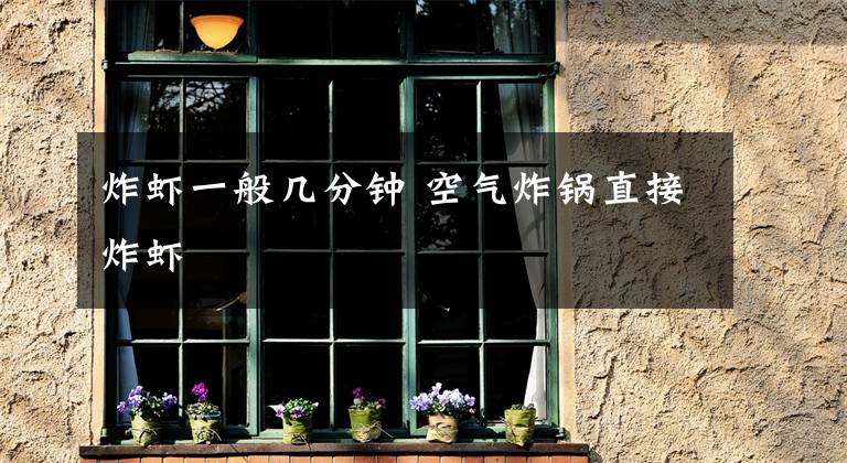 炸虾一般几分钟 空气炸锅直接炸虾